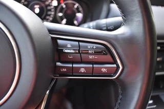 https://morgenlease.images.ilsa.cloud/14167119-d30b-4658-b306-9a2a7cafd85c.webp