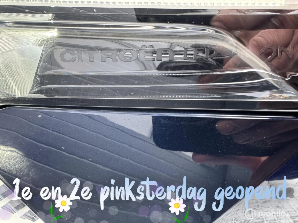  https://morgenlease.images.ilsa.cloud/143b9d7d-3c02-4b42-8f40-32058288826f.webp