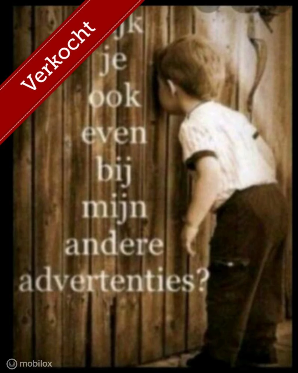  https://morgenlease.images.ilsa.cloud/1465323a-3542-4be2-93b6-d03cc9d0c24f.webp