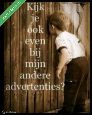https://morgenlease.images.ilsa.cloud/34a21666-5ff5-46fe-a8f8-7e09da5bad2a.webp
