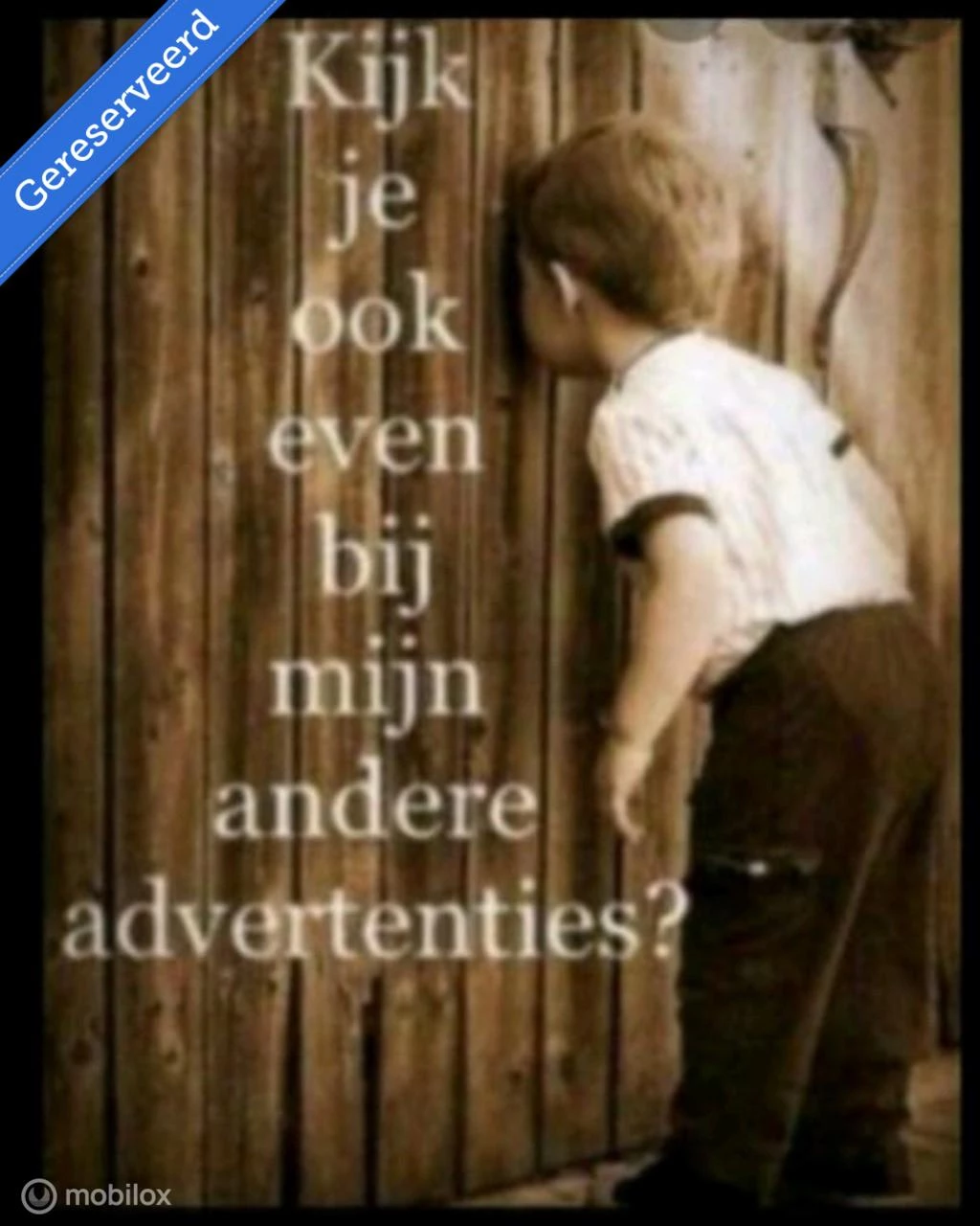  https://morgenlease.images.ilsa.cloud/45e46090-e091-4078-a797-28bd49a952a9.webp