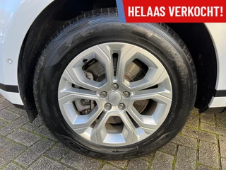 https://morgenlease.images.ilsa.cloud/4c4cc71d-6d1d-40f4-8569-d1926a28a37d.webp