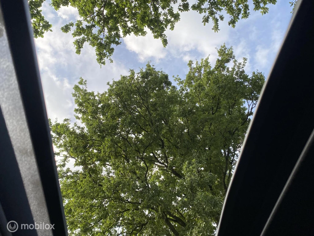  https://morgenlease.images.ilsa.cloud/5cca60ac-a614-4621-94fc-9dcb2d8d0fa7.webp