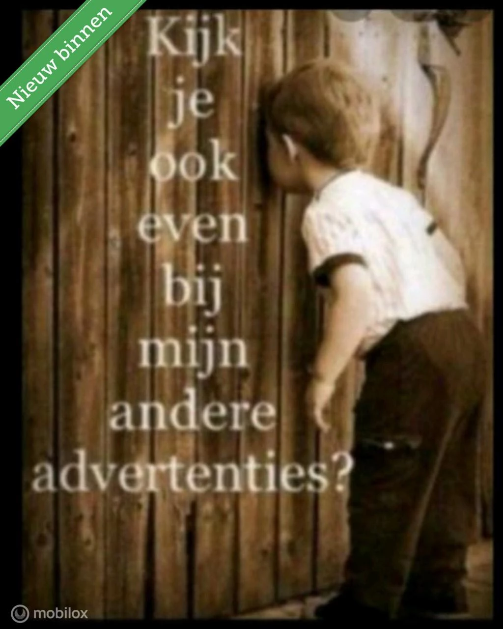  https://morgenlease.images.ilsa.cloud/5f283d00-db65-450f-99e6-a4843639e085.webp