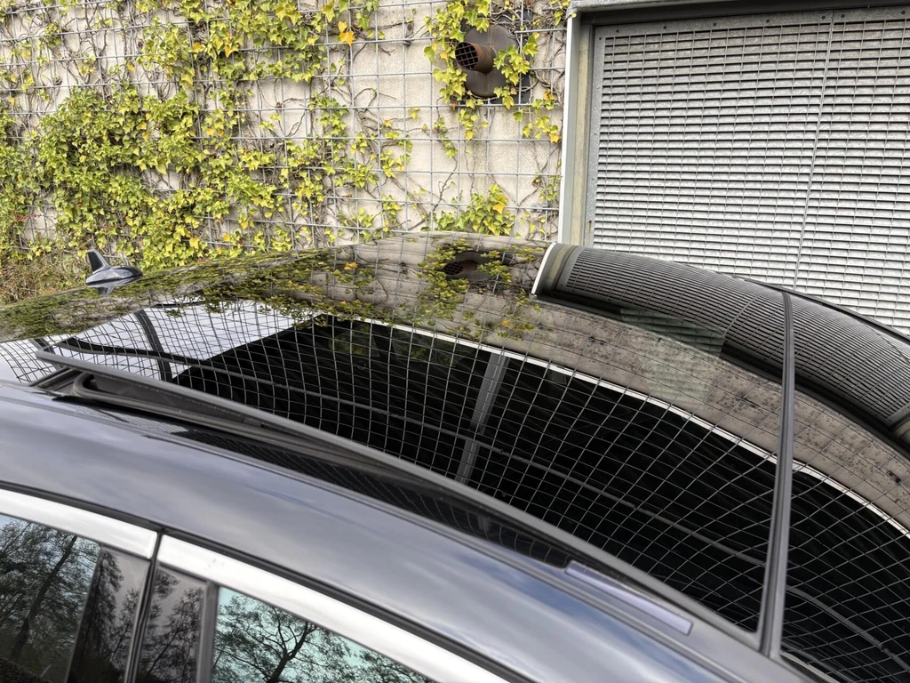  https://morgenlease.images.ilsa.cloud/7c64125f-aeec-47be-a0d3-8f22668ab28a.webp