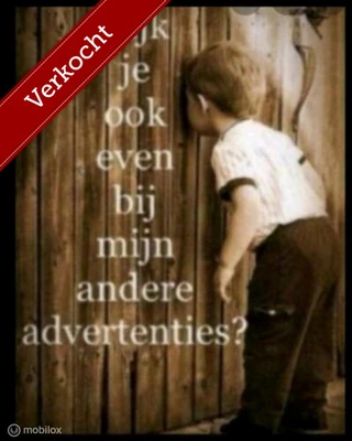 https://morgenlease.images.ilsa.cloud/836f0785-9336-4f16-8b2e-f270e7cf4647.webp