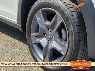 https://morgenlease.images.ilsa.cloud/c9c43aa7-0136-4402-b4e5-47f763d28c36.webp