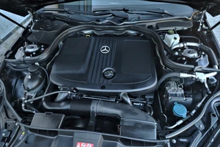 https://morgenlease.images.ilsa.cloud/cbb24646-db1b-4ca6-a2c2-89f0e8b6e72b.webp