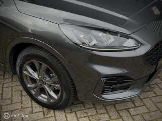 https://morgenlease.images.ilsa.cloud/de674df5-21c3-45eb-b89e-ecd8f550cf3b.webp