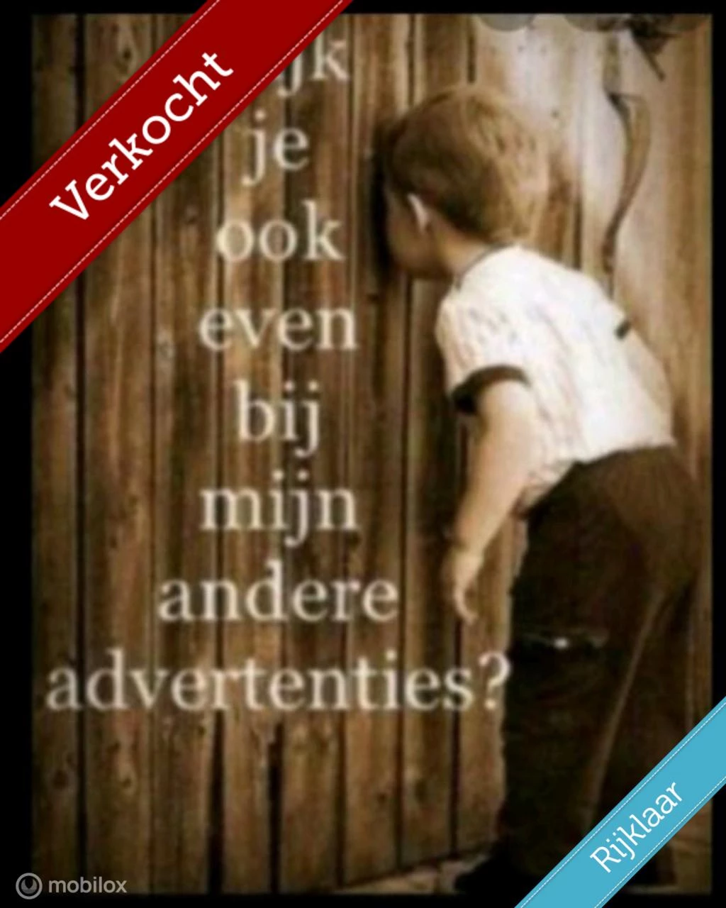  https://morgenlease.images.ilsa.cloud/edf74a63-6bd8-4fde-bcb0-faf7a3ae7deb.webp