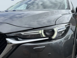 https://morgenlease.images.ilsa.cloud/f2162678-72fa-4031-9b86-29c78f1f86bb.webp